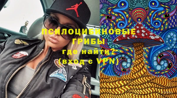 СК Аркадак
