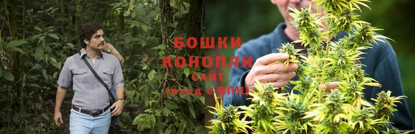 СК Аркадак