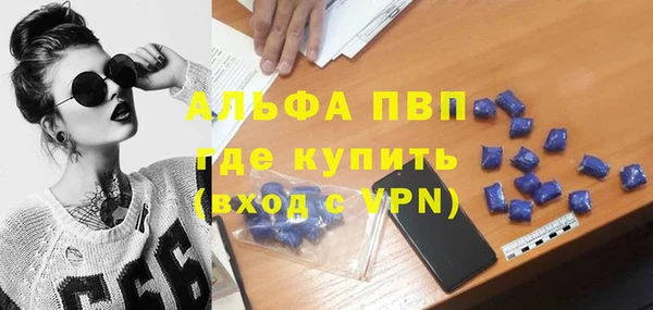 PSILOCYBIN Балабаново