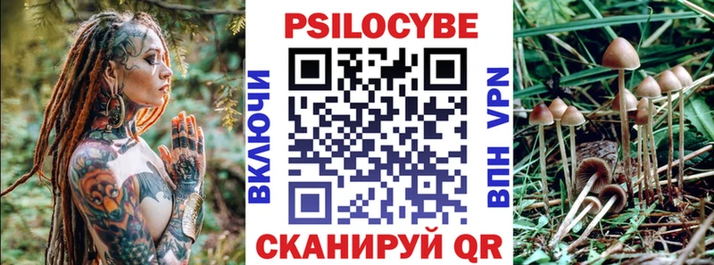 Галлюциногенные грибы Psilocybine cubensis  Лобня 