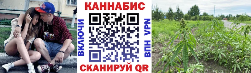 Конопля конопля  Лобня 